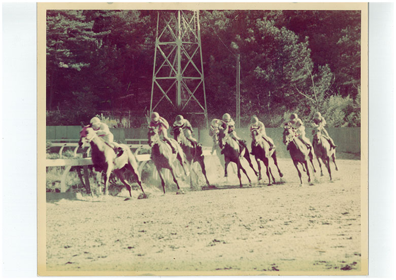 矢野吉彦のあの地方競馬場はいま｜web Furlong
