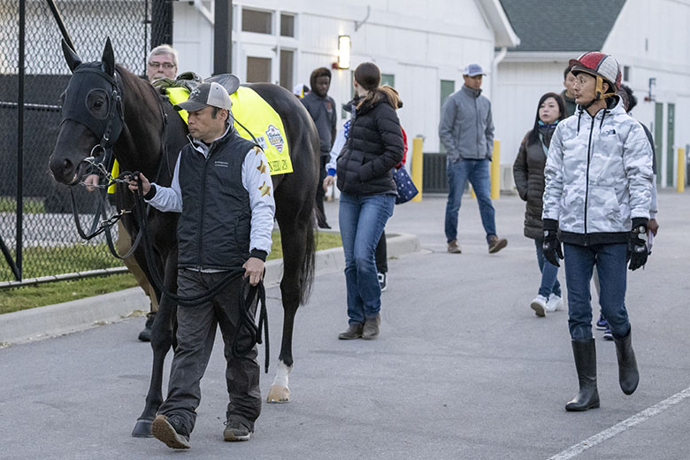 マンダリンヒーローの挑戦 ～ケンタッキーダービー～｜web Furlong
