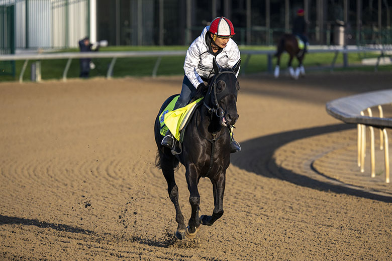 マンダリンヒーローの挑戦 ～ケンタッキーダービー～｜web Furlong