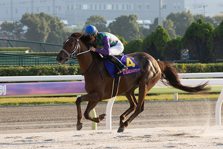 競馬 スプリンターズS・生情報】〝究極仕上げ〟マッドクールが春秋連覇へ