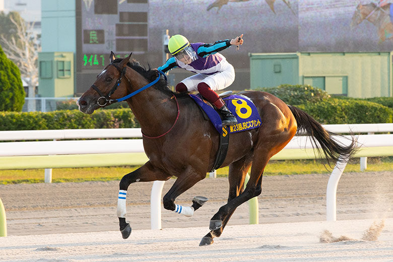 JBC2023総括｜web Furlong