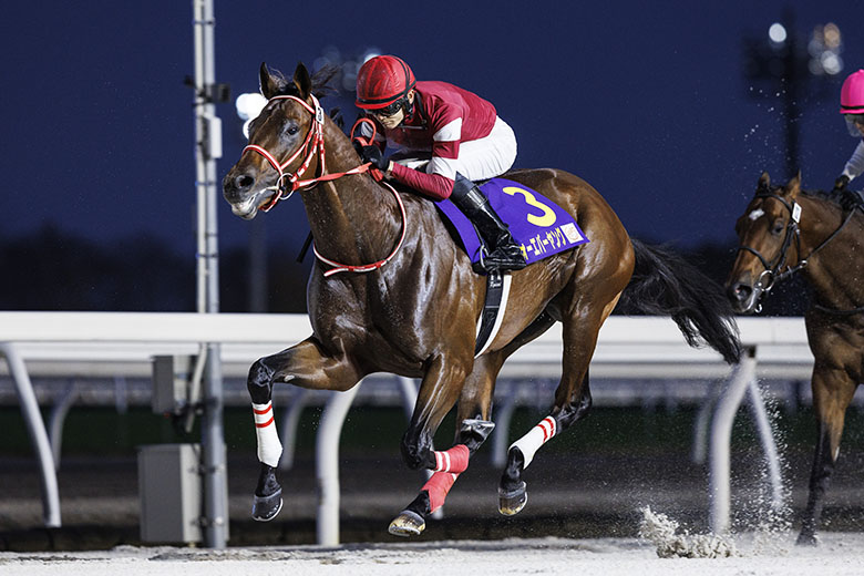 JBC2023総括｜web Furlong