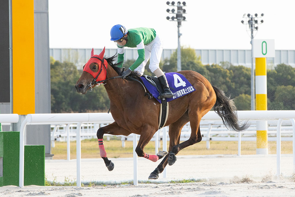 第21回若草賞土古記念｜web Furlong