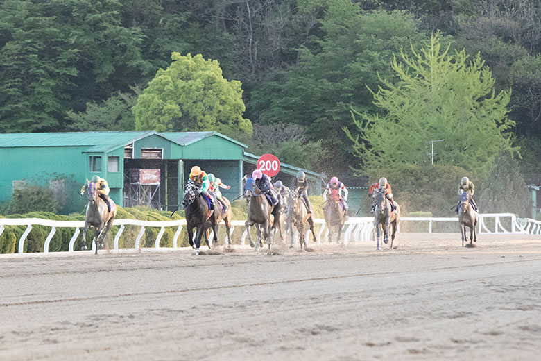 第22回ル・プランタン賞|web Furlong