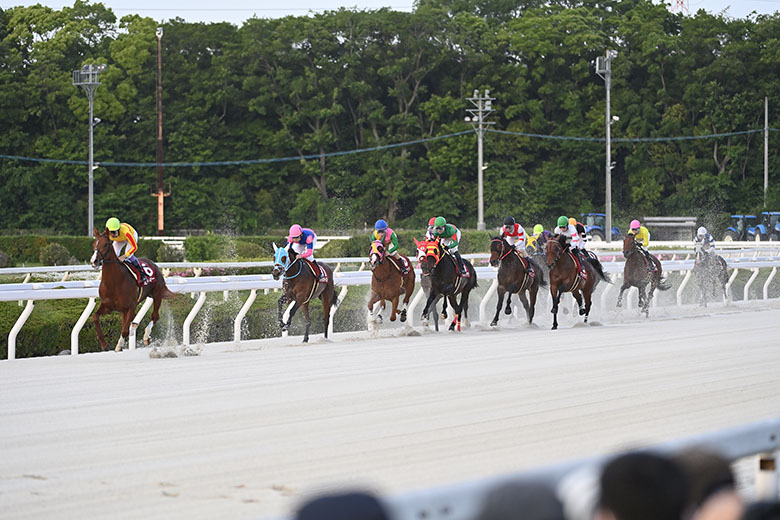 第24回兵庫チャンピオンシップJpnII｜web Furlong