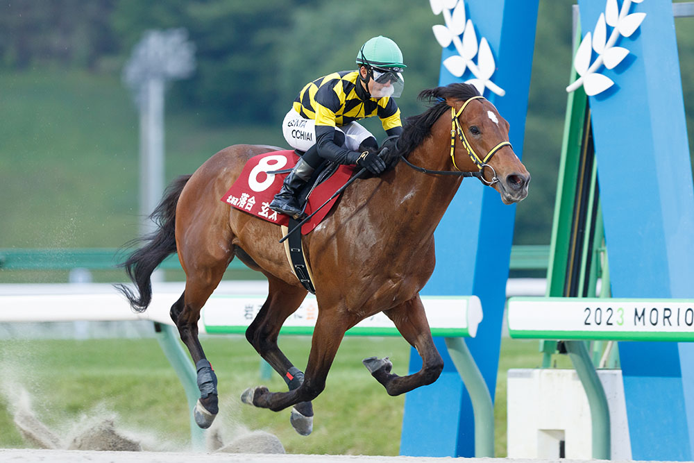 競馬はレオダーバンの法則で勝て 競馬】パンサラッサが見せた1998年11月1日の向こう側 〜2022年