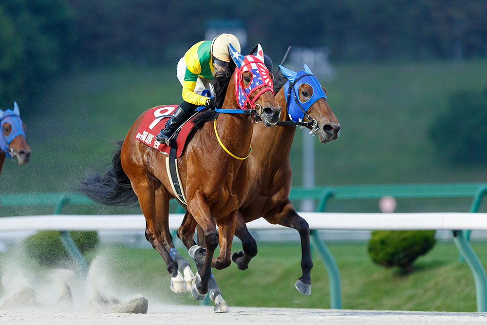 2023地方競馬ジョッキーズチャンピオンシップ ファースト 2023地方競馬ジョッキーズチャンピオンシップ ファースト