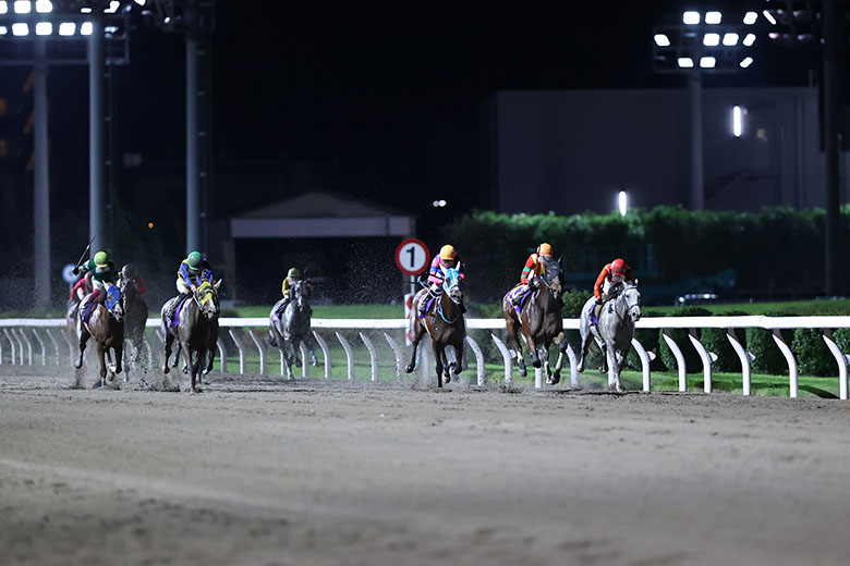 第59回関東オークスJpnII｜web Furlong
