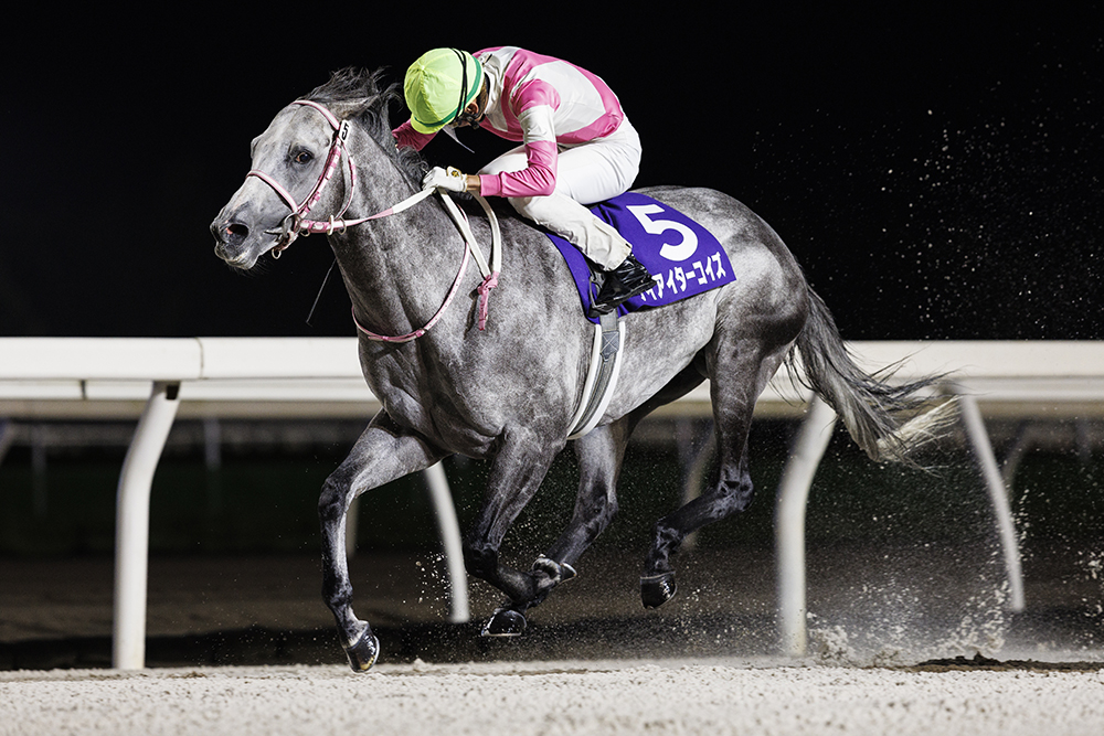 競馬 ノームコア レインボーカード15枚限定 競馬 ノームコア レインボーカード15枚限定 （第15回開催