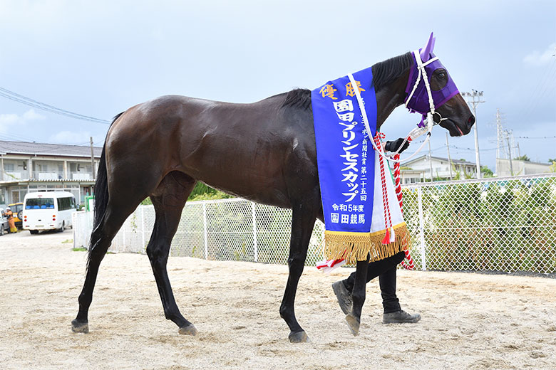 第25回園田プリンセスカップ |web Furlong