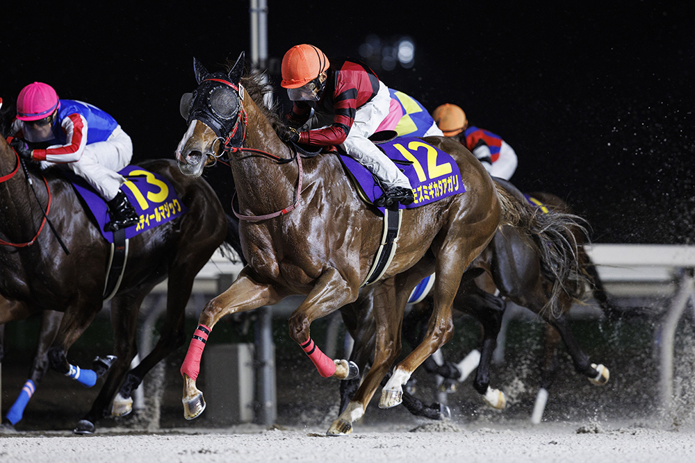 第26回エーデルワイス賞JpnIII ｜web Furlong