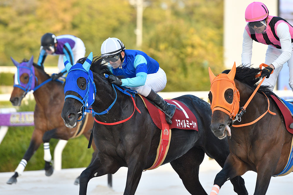 第66回園田金盃 ｜web Furlong