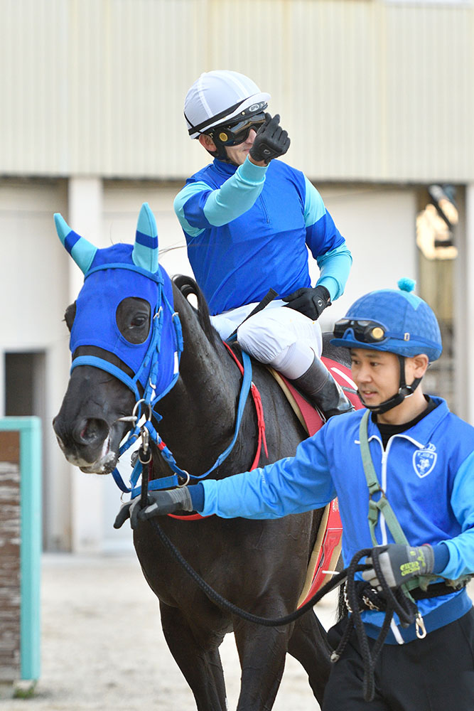 第66回園田金盃 ｜web Furlong