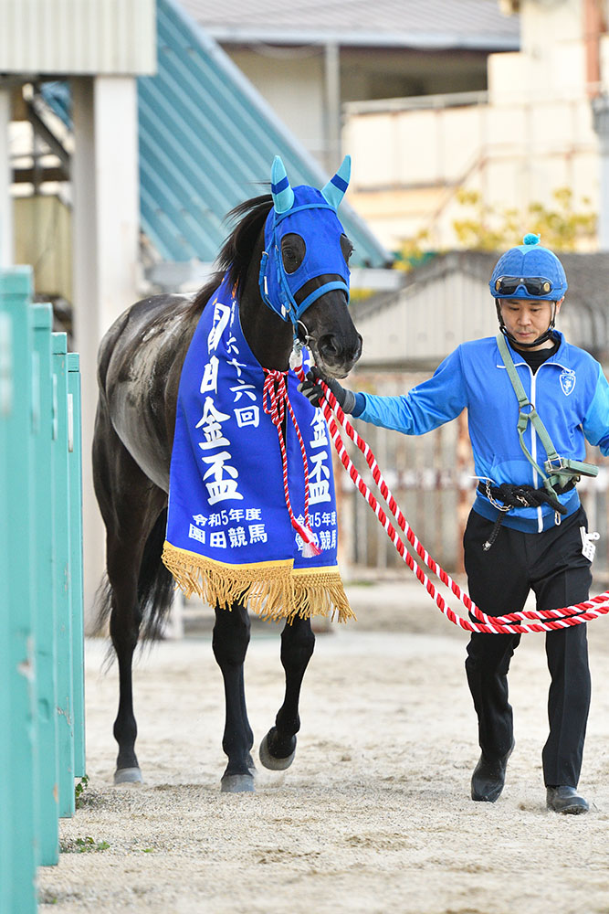 第66回園田金盃 ｜web Furlong