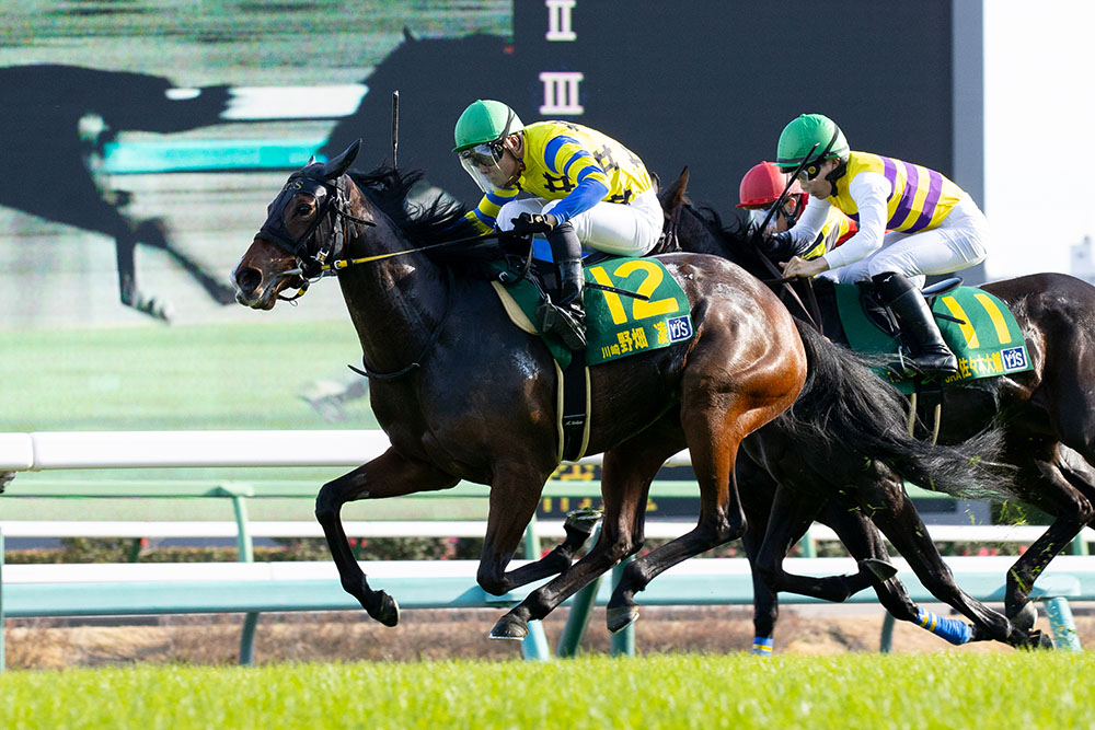 ヤングジョッキーズシリーズFR 中山｜web Furlong