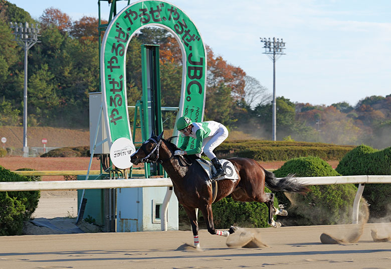 高橋華代子の（続）気になるあの馬は…｜web Furlong