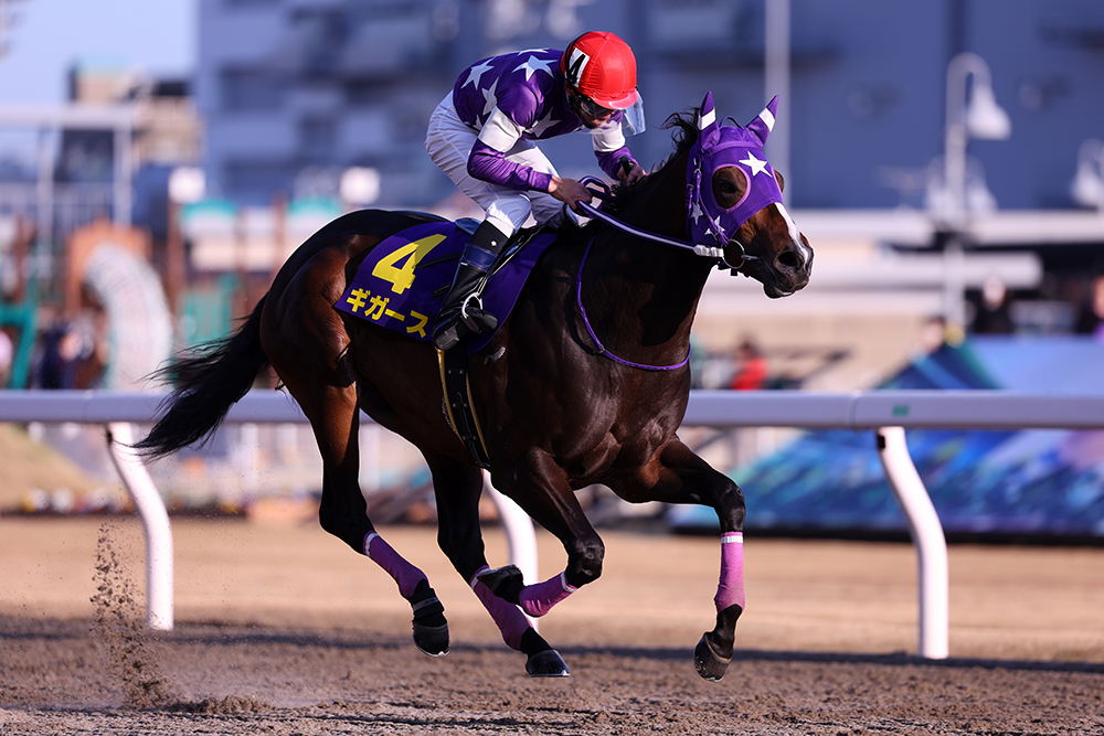 3歳スプリントシリーズ2024総括｜web Furlong