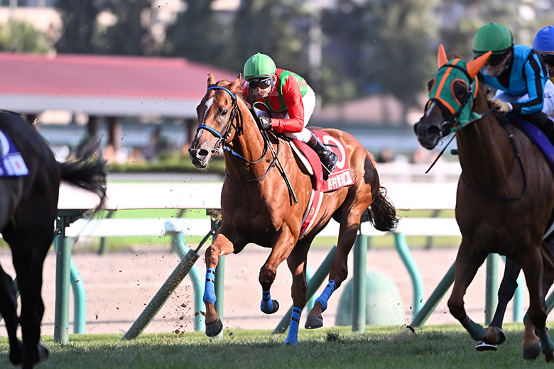 JRA ワールドオールスタージョッキーズ 2024 カード 坂井瑠星 2枚セット JRA ワールドオールスタージョッキーズ 2024 カード 坂井瑠星 2