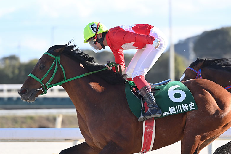 第38回全日本新人王争覇戦｜web Furlong