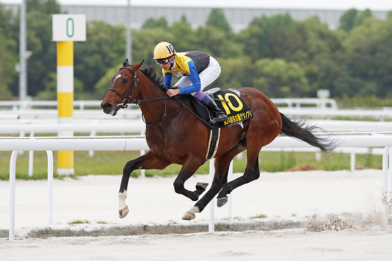 ディープインパクト 現地的中単勝馬券