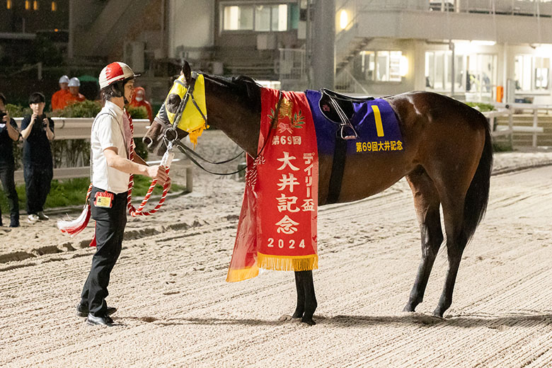 オウケンブルースリ 第69回 菊花賞 AVANTI 第69回菊花賞 | Tonyの競馬写真ブログ