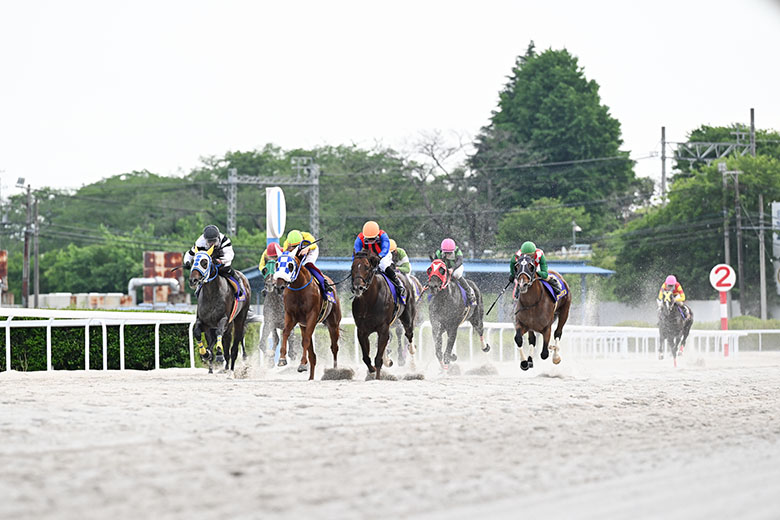 競馬パネル　オグリキャップ 2025年最新】オグリキャップ 有馬記念 パネルの人気アイテム - メルカリ