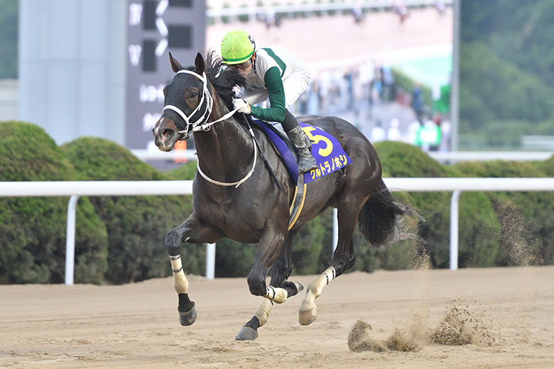 バブルガムフェロー 天皇賞（秋）ジャパンカップ 他 現地購入 5枚 ウマ娘