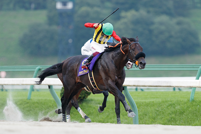 クロフネまねき馬レインボーカードJ-229未開封1つ　競馬 2025年最新】まねき馬レインボーカードの人気アイテム - メルカリ