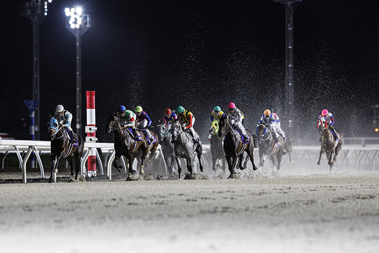 第36回ブリーダーズゴールドカップJpnIII｜web Furlong