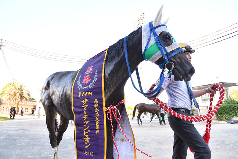 第24回サマーチャンピオンJpnIII｜web Furlong