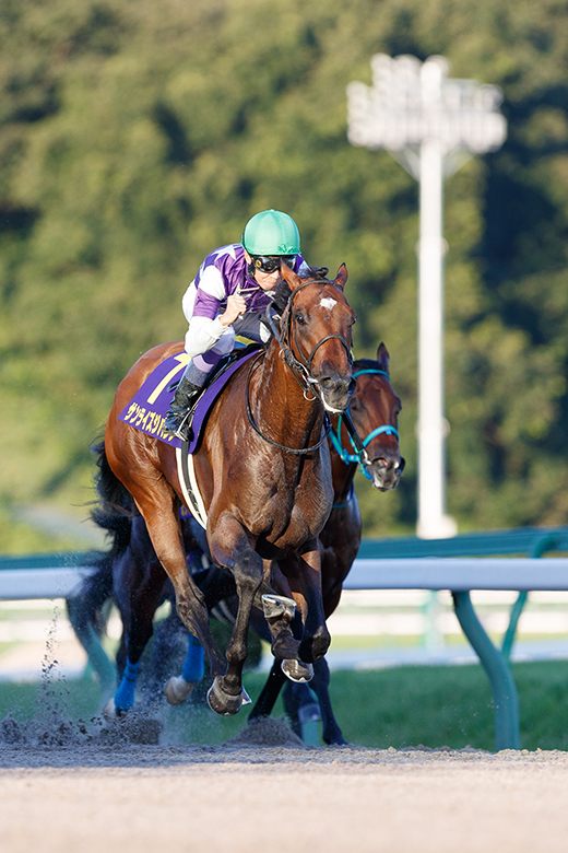 【武豊 サンライズジパング号 アクリルスタンド】不来方賞 盛岡競馬 武豊 サンライズジパング号 アクリルスタンド】不来方賞 盛岡