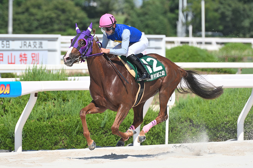 ヤングジョッキーズシリーズTR 園田｜web Furlong