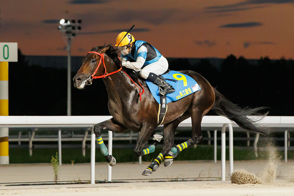 第1回　2017年競馬　YJS ヤングジョッキーシリーズ 限定ブルゾン/タオル 2022 Young Jockeys Series Trial Round Kawasaki | Report