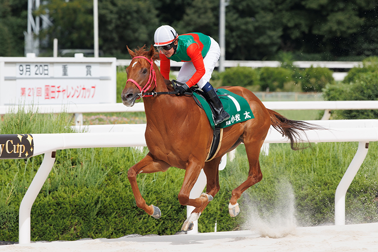 5・1兵庫チャンピオンシップを吉村智洋、小谷周平両騎手がPR