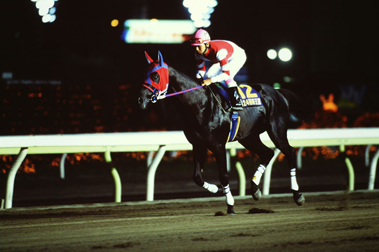 トウケイニセイラストラン　第21回桐花賞　単勝馬券　岩手競馬 観覧券セット トウケイニセイラストラン 第21回桐花賞 単勝馬券 岩手競馬 観覧