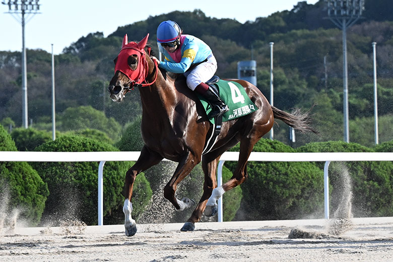 第1回　2017年競馬　YJS ヤングジョッキーシリーズ 限定ブルゾン/タオル ヤングジョッキーズシリーズTR 佐賀｜web Furlong