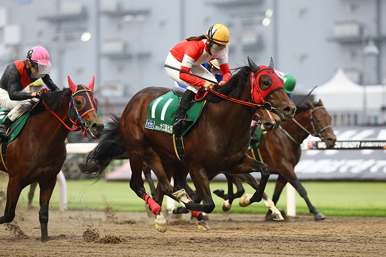 【カネヒキリ】ルメール騎手直筆サイン　ジャパンカップダート　東京大賞典　川崎記念 カネヒキリ】ルメール騎手直筆サインジャパンカップダート東京