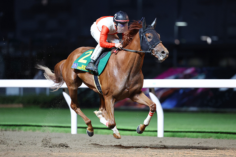 第1回　2017年競馬　YJS ヤングジョッキーシリーズ 限定ブルゾン/タオル ヤングジョッキーズシリーズTR 川崎｜web Furlong