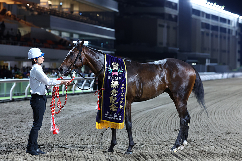 ブロンズ　馬に乗った騎士　戦士　美術工芸 ブロンズ 馬に乗った騎士 戦士 美術工芸 Yahoo!オークション