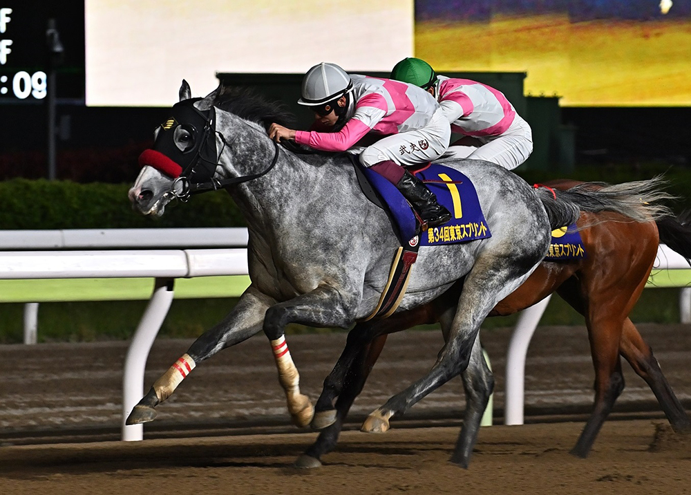 高橋華代子の（続）気になるあの馬は…｜web Furlong