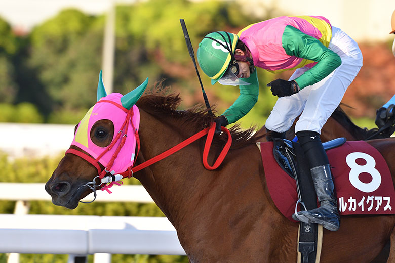 第67回園田金盃｜web Furlong