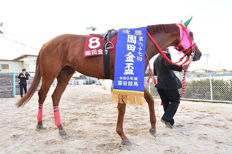 第67回園田金盃｜web Furlong