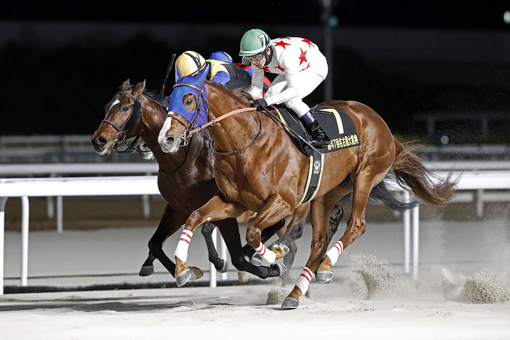 JRA ターフィー君 天皇賞100回記念 トランプ JRA 天皇賞 第100回記念トランプ (競馬)｜売買された