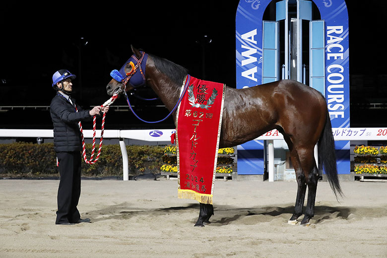 第62回ゴールドカップ｜web Furlong