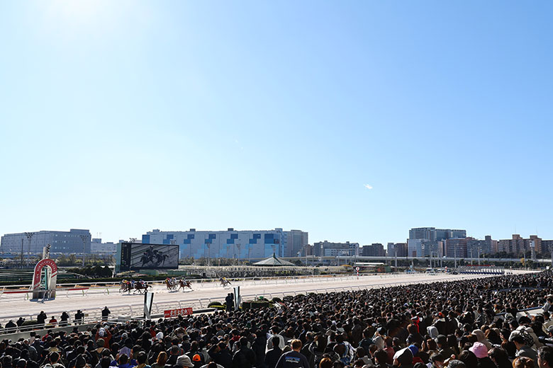 第70回東京大賞典GI ｜web Furlong