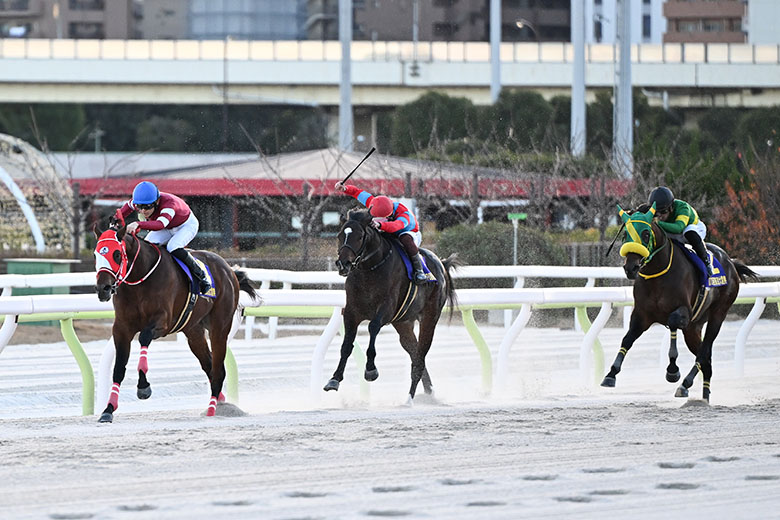 合馬公式アカウント1  THE AMERICAN FUR AWARDS 合馬公式アカウント1 合馬公式アカウント 爆熱！ゼクスレター vol.1