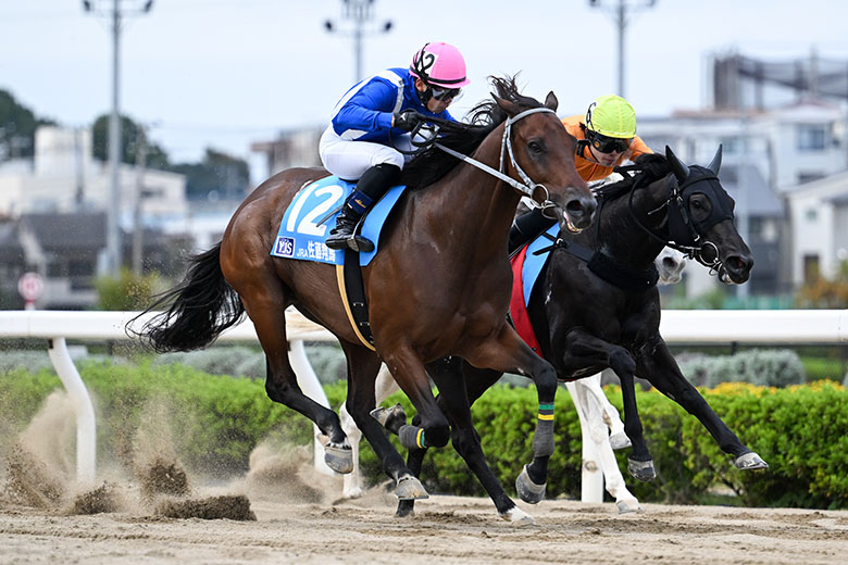 2024ヤングジョッキーズシリーズ総括｜web Furlong