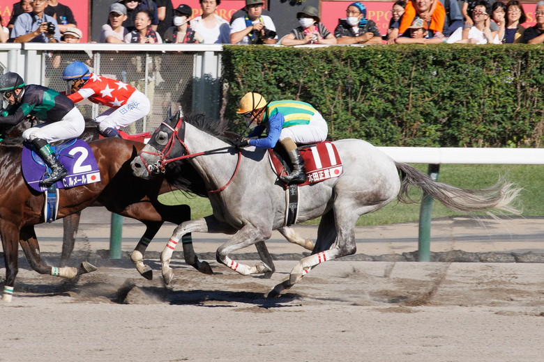 2025ワールドオールスタージョッキーズ｜web Furlong