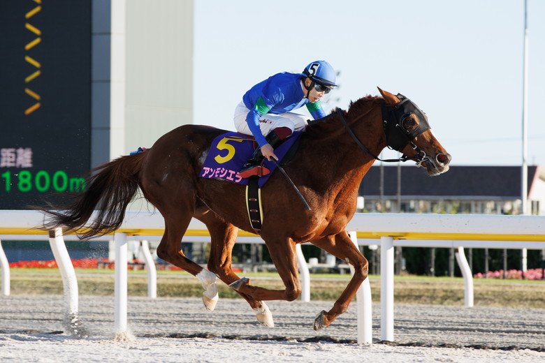 JBC2025総括｜web Furlong