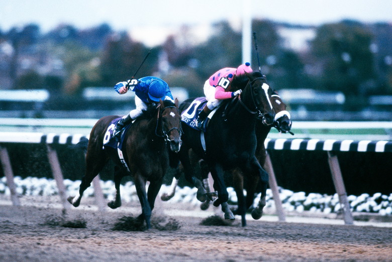 日本のダートから世界最高峰の舞台へ｜web Furlong